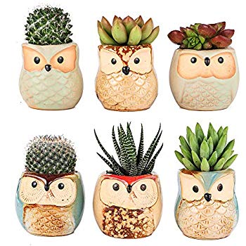 Owl Pot Ceramic